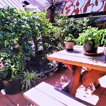 Asylum Sydney Backpackers Hostel Exterior photo